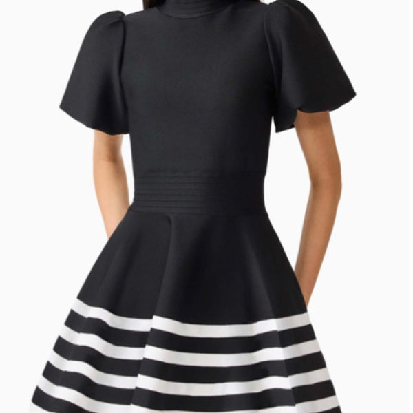 Ninette Puff Sleeves Fit & Flare Mini Dress