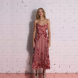 Aonia Dress