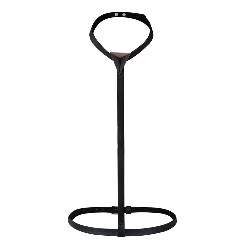 Lora Harness