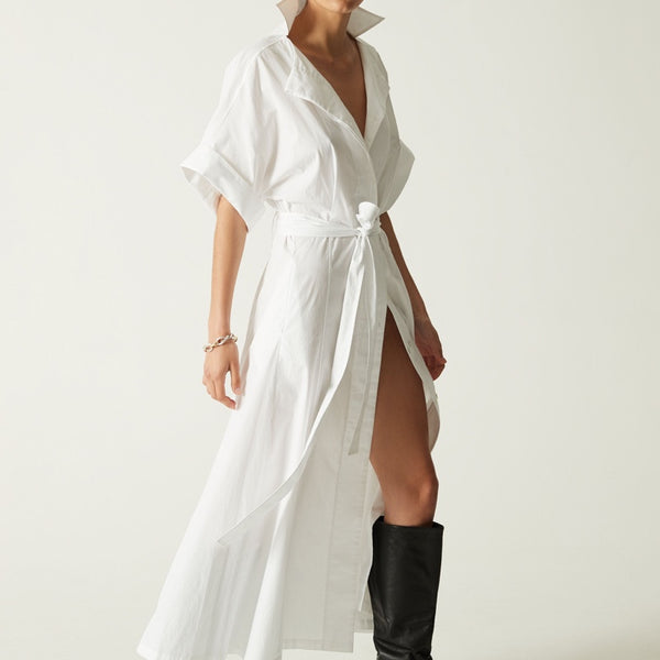 The Shirt Dress